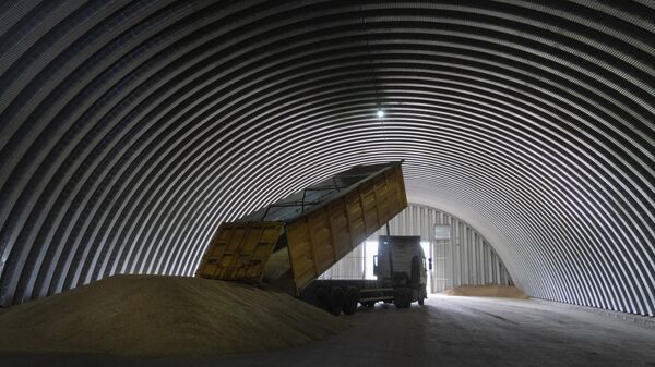Разгрузка зерна в хранилище на Украине