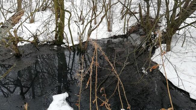 Минэкологии потребовало устранить загрязнение земель в Дмитровском округе