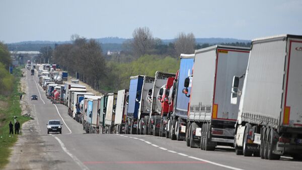 Украинские грузовики с сельхозпродукцией в пункте пропуска Рава-Руська на границе с Польшей