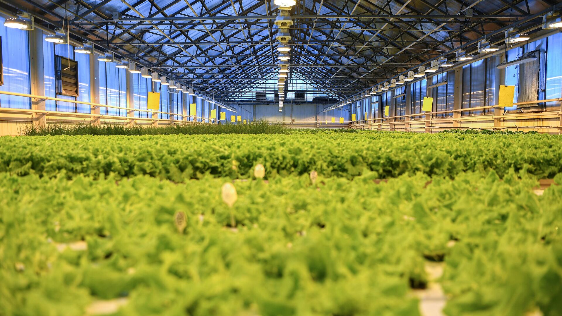 Агропромышленность Агропромышленность - РИА Новости, 1920, 11.07.2025