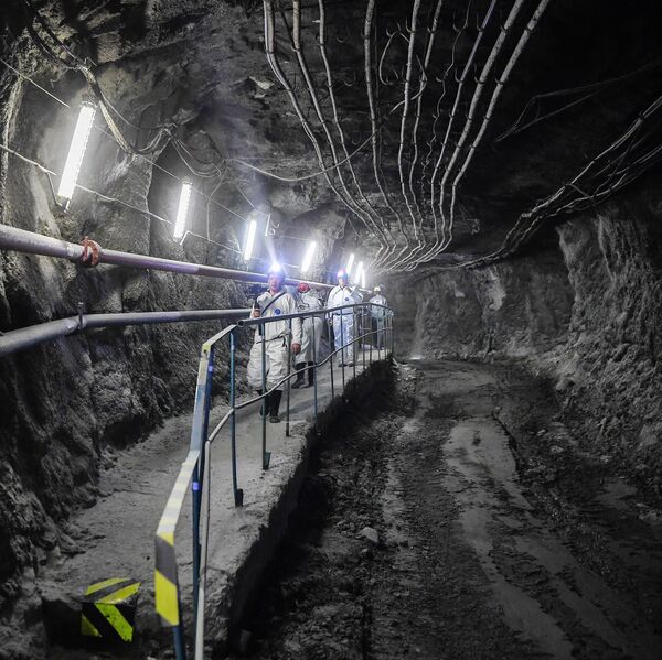 Отзывы шевченко 158 2023. Альметьевск ул. Отзывы шевченко 158 2023. Государственная ветеринарная клиника барнаул. Уютный дворик +у татьяны александровны анапа.