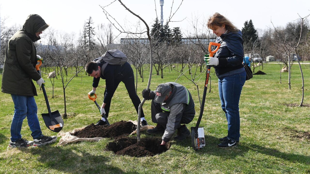 Международный день Матери-Земли - РИА Новости, 22.04.2023