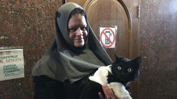 Монахиня Анисия и раненый кот Бумер