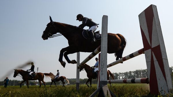 Конный спорт - конь прыгает