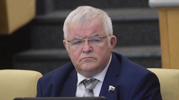 Николай Борцов на пленарном заседании Государственной думы