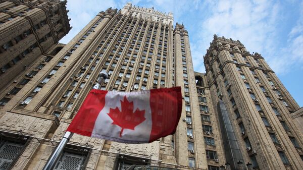 Флажок на машине посла Канады в России