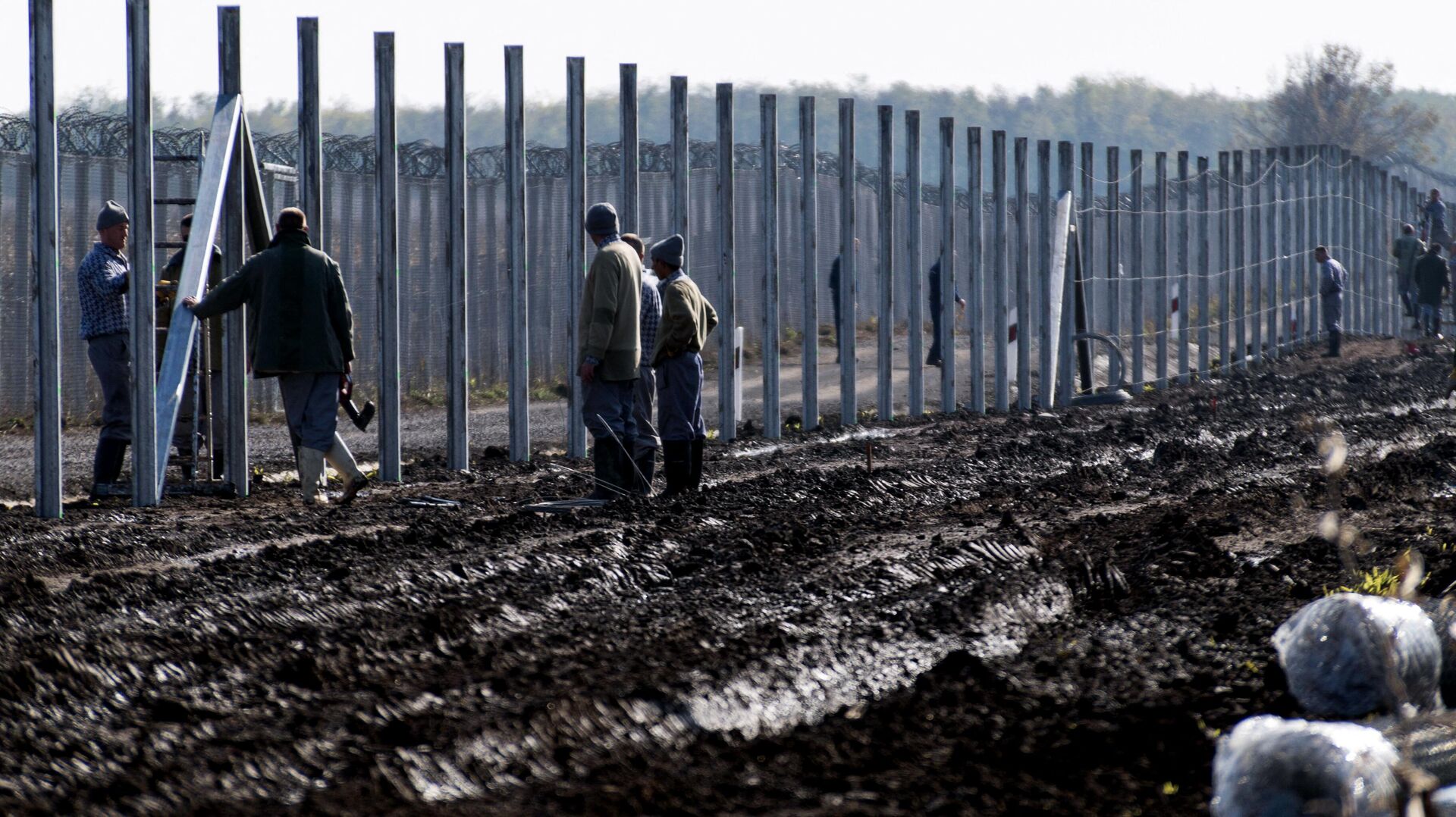 Заключенные строят второй забор на венгерско-сербской границе возле села Гара, 27 октября 2016 года - РИА Новости, 1920, 24.04.2023