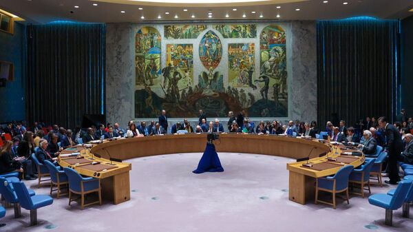 Заседание Совета Безопасности ООН в Нью-Йорке