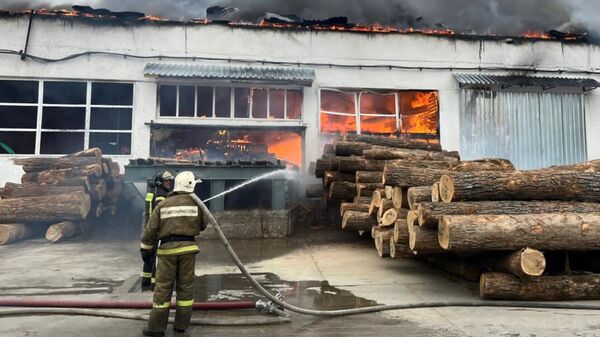 Сотрудники противопожарной службы МЧС РФ тушат пожар в деревоперерабатывающем цехе в Лесозаводске. 25 апреля 2023