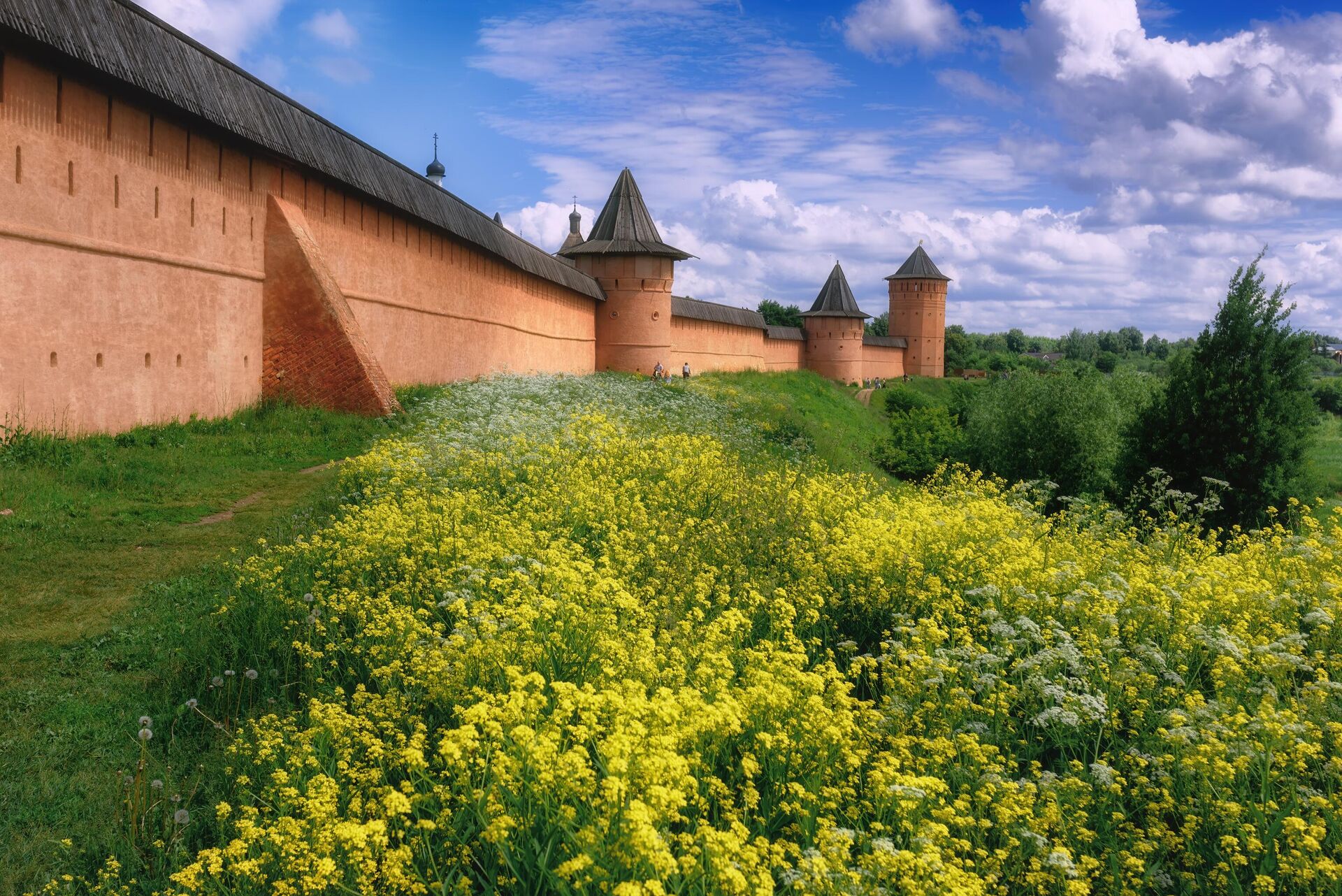 Спасо-Евфимиев мужской монастырь в Суздале - РИА Новости, 1920, 27.04.2023