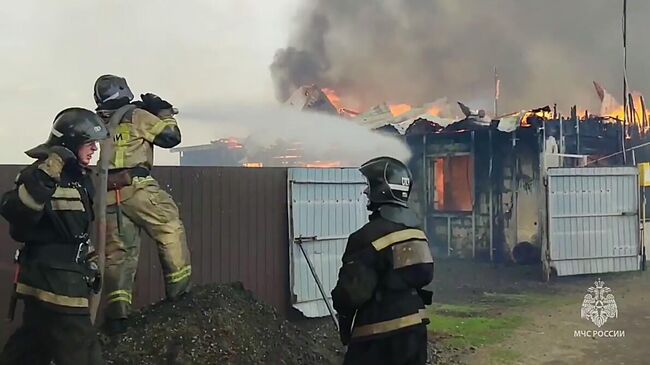 Сотрудники МЧС тушат пожар в деревне Логоушка в Курганской области (скриншот видео)