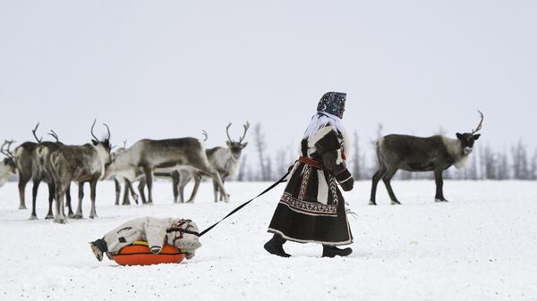 Этностойбище оленеводов Харп в окрестностях Дудинки в Красноярском крае. Жители Харпа ведут традиционный образ жизни и постоянно перемещаются, кочуют на 30-50 и более км от Дудинки
