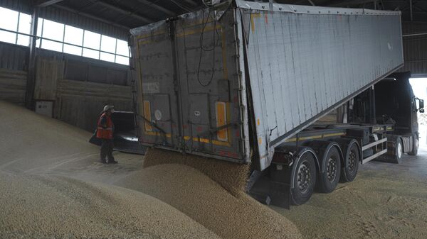 Разгрузка зерна в порту в Измаиле, Украина