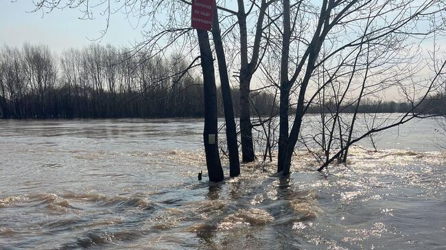 Подъем уровня воды в реке Кондома