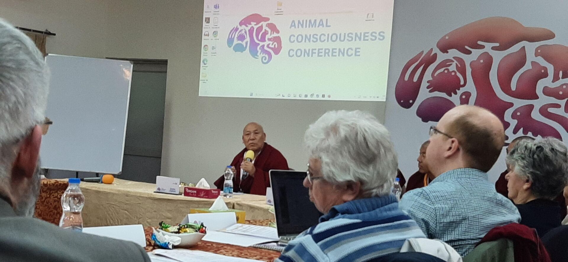 Первая международная конференция Сознание животных в Дхарамсале (Индия) - РИА Новости, 1920, 02.05.2023