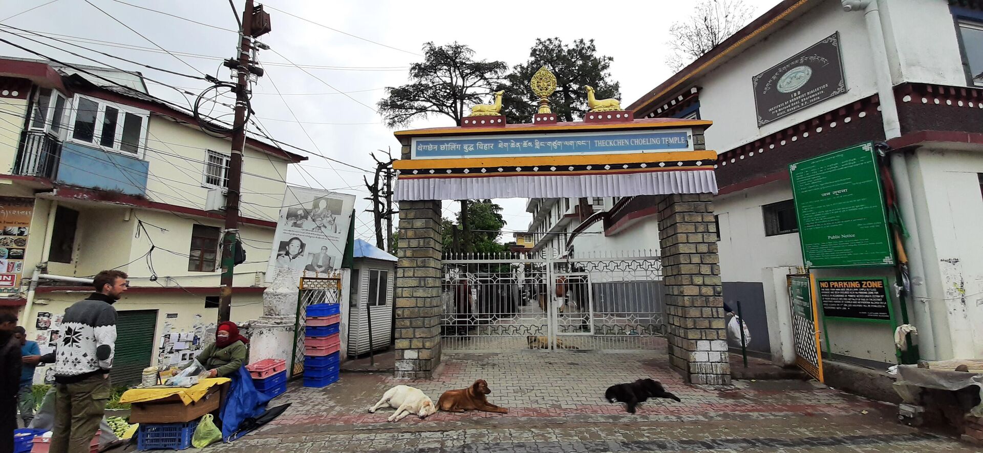 Дорога к храму и резиденции Далай-ламы в Дхарамсале, где проходит 1-я Международная конференция Сознание животных  - РИА Новости, 1920, 03.05.2023