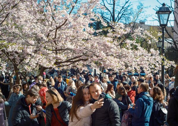 Люди фотографируются у цветущей сакуры в Саду дружбы в Санкт-Петербурге