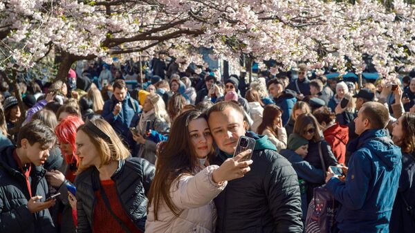 Люди фотографируются у цветущей сакуры в Саду дружбы в Санкт-Петербурге