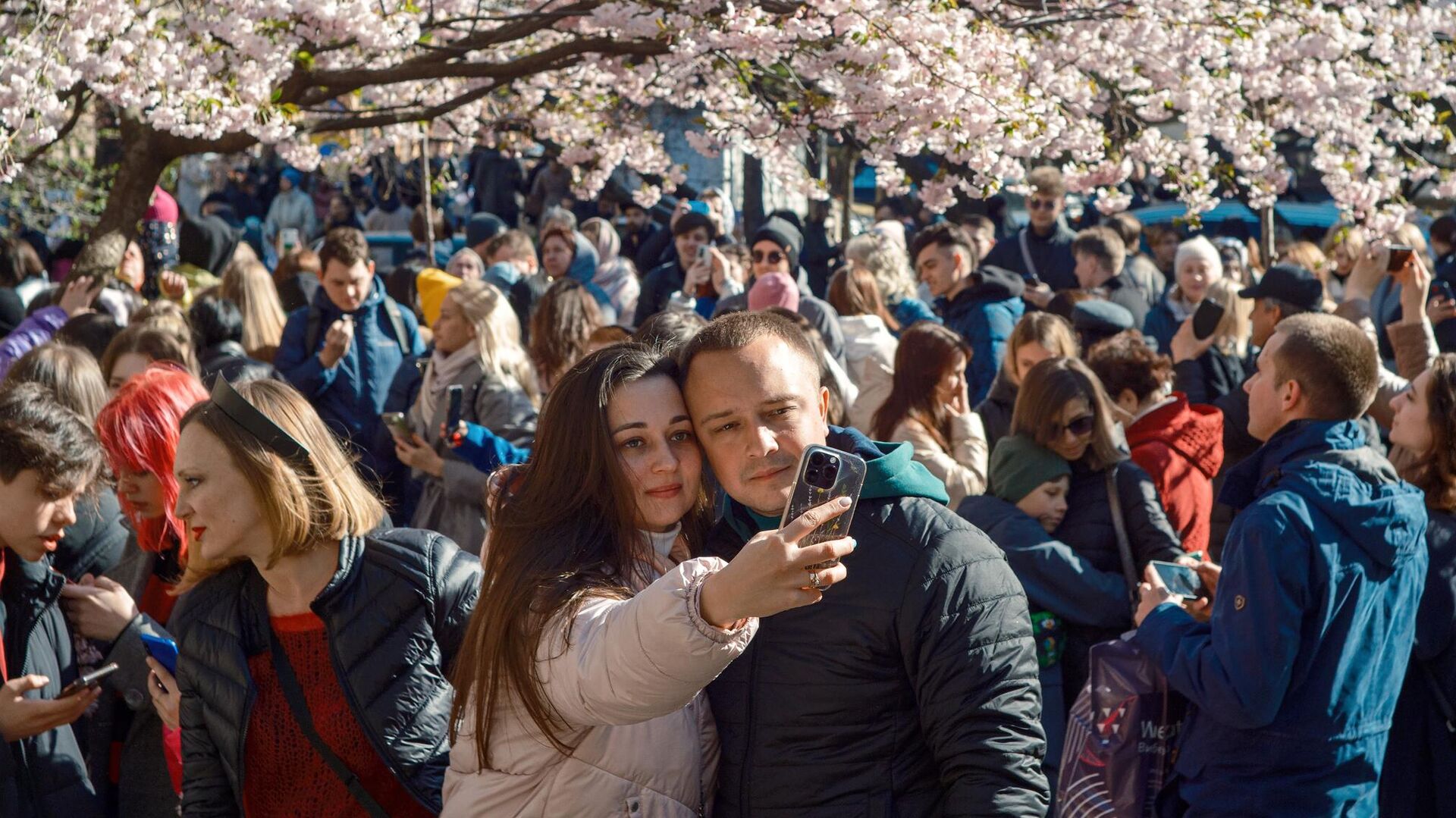 Люди фотографируются у цветущей сакуры в Саду дружбы в Санкт-Петербурге - РИА Новости, 1920, 12.04.2024