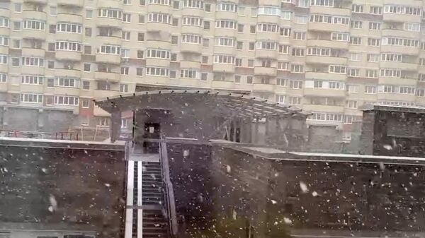 Снегопад в начале мая, или Весенняя погода в Санкт-Петербурге
