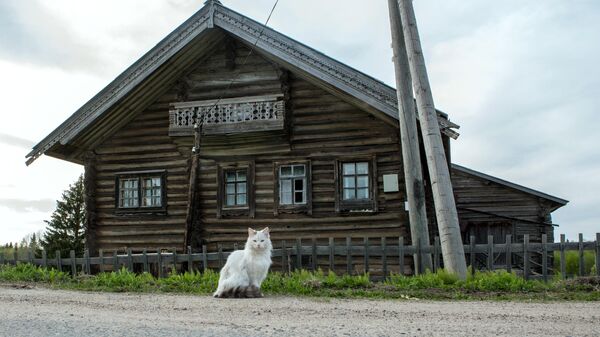 Жилой деревянный дом в деревне Кинерма в Карелии