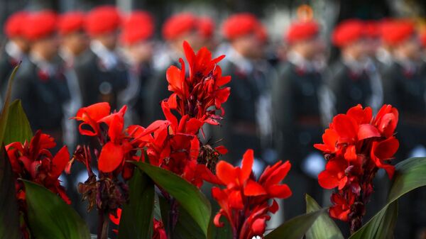 Солдаты австрийского почетного караула перед церемонией возложения венка к мемориалу Второй мировой войны в Вене