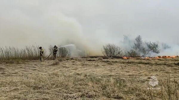 Пожарно-спасательные подразделения МЧС РФ тушат пожары возле деревни Белый Яр в Курганской области