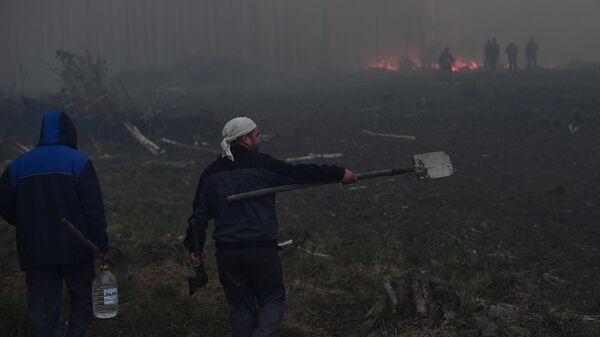 Люди идут тушить пожар в лесном массиве недалеко от поселка Ключевск Свердловской области