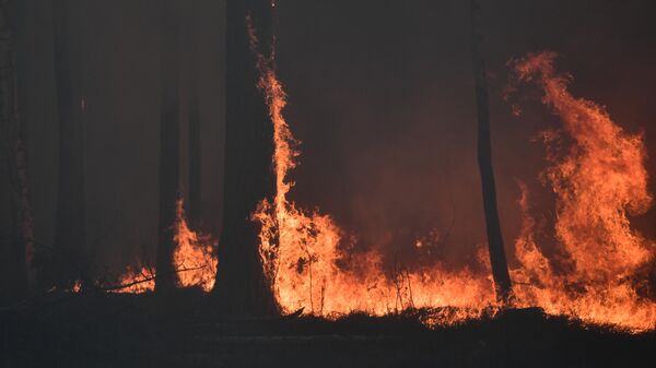Пожар в лесном массиве недалеко от поселка Ключевск Свердловской области
