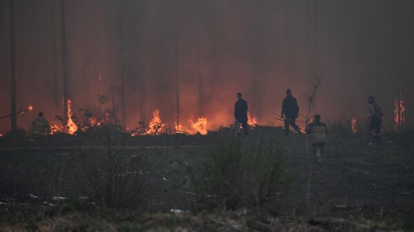Люди во время тушения пожара в лесном массиве недалеко от поселка Ключевск Свердловской области