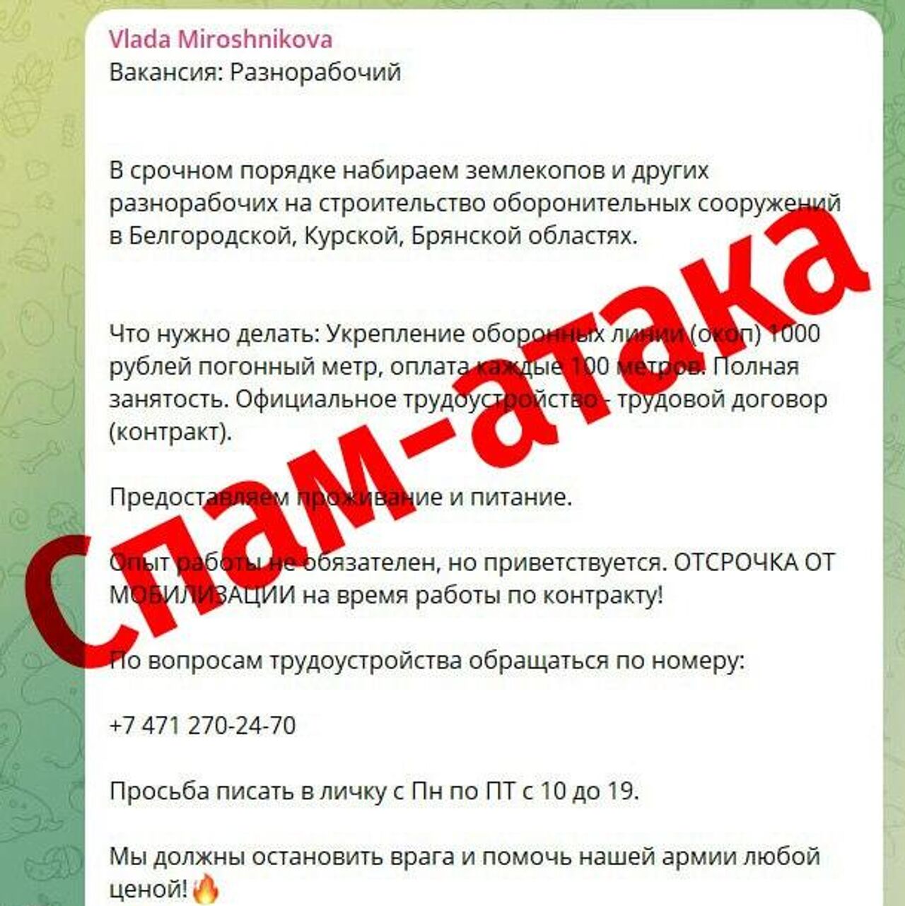 Курские власти назвали информацию об эвакуации населения вбросом - РИА  Новости, 08.05.2023