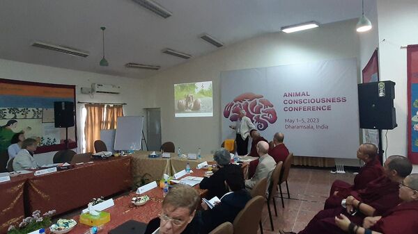Российские и зарубежные исследователи и буддийские монахи-ученые слушают доклад академика Балабана об улитках на конференции Сознание животных в Дхарамсале