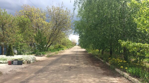 Пустые улицы города Пологи