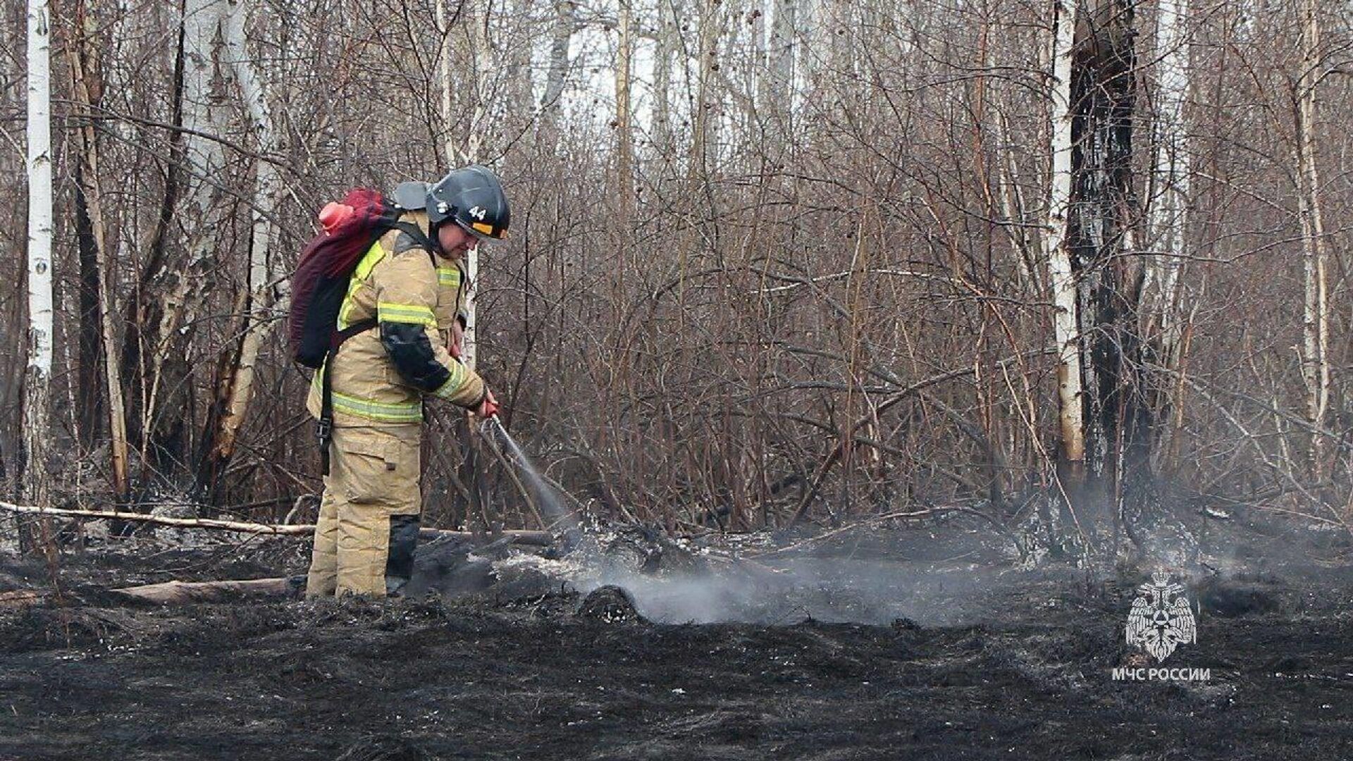 Ликвидация последствий лесных пожаров в Курганской области - РИА Новости, 1920, 11.05.2023