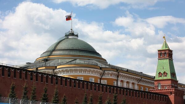 Президентский штандарт на куполе Сенатского дворца Московского Кремля