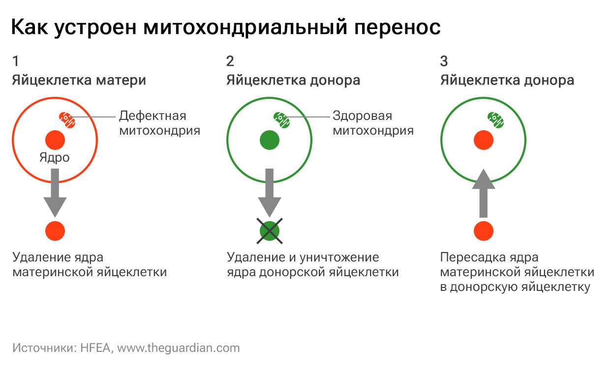 как объяснить родителям что такое дота фото 70