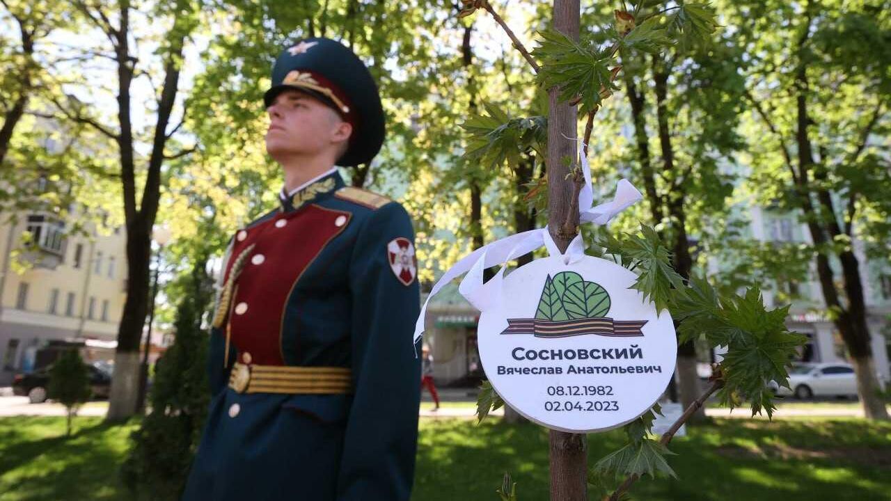 Аллею Памяти в честь погибших участников СВО высадили в Балашихе - РИА  Новости, 13.05.2023