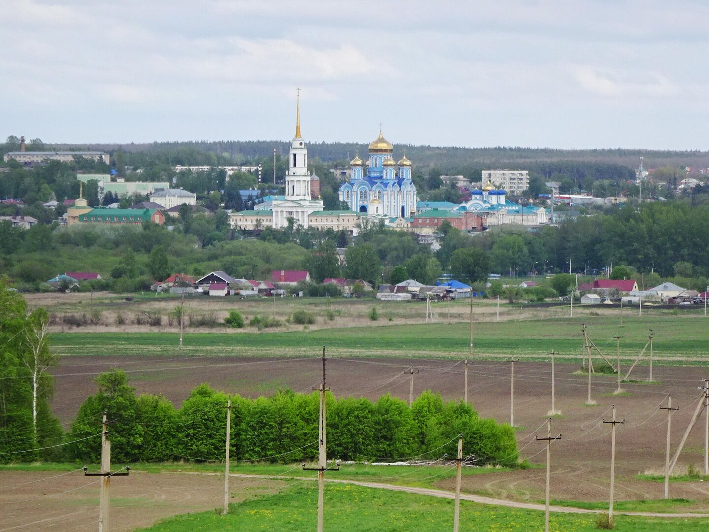 Задонск. Погода в Задонске. Задонск в дождь фото. Фото пасмурного Задонска.