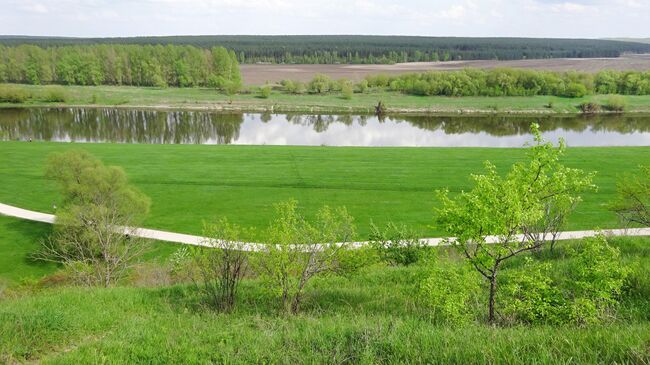 Парк Кудыкина Гора, вид с Горы Братства 