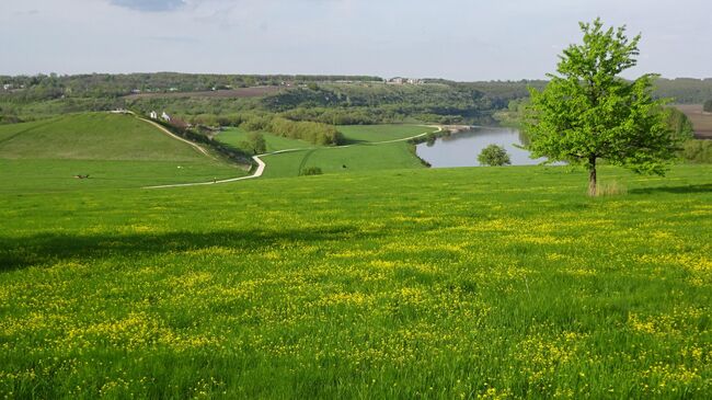 Парк Кудыкина Гора