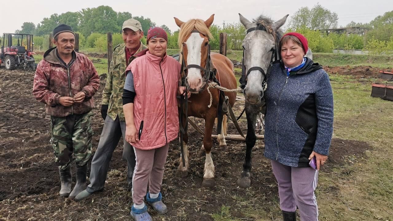 Сельчане в Башкирии посадили целое поле овощей для участников спецоперации - РИА Новости, 1920, 16.05.2023