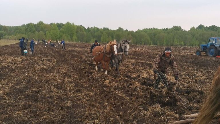 Сельчане в Башкирии посадили целое поле овощей для участников спецоперации