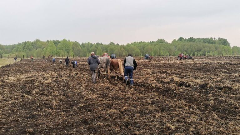 Сельчане в Башкирии посадили целое поле овощей для участников спецоперации