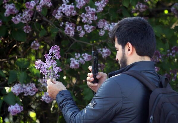 хроника фильм 2012. хроника цветущих событий. хроника 2012 эндрю. хроника цветущих событий. хроника цветущих событий.