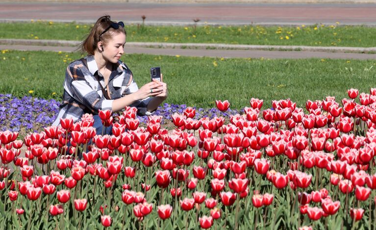 Девушка фотографирует тюльпаны около МГУ им. М. В. Ломоносова в Москве