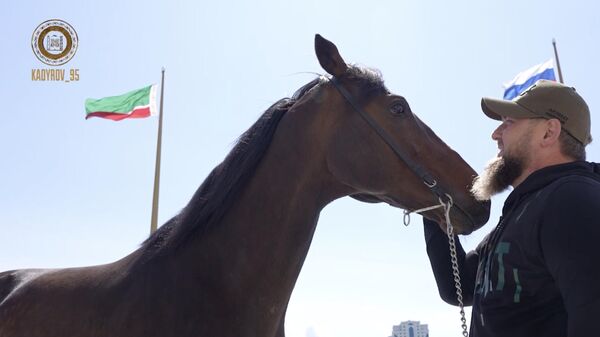 Рамзан Кадыров и его конь Зазу. Кадр видео