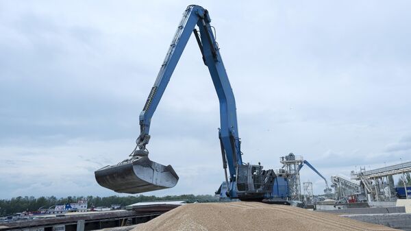 Погрузка зерна в порту Измаила, Украина