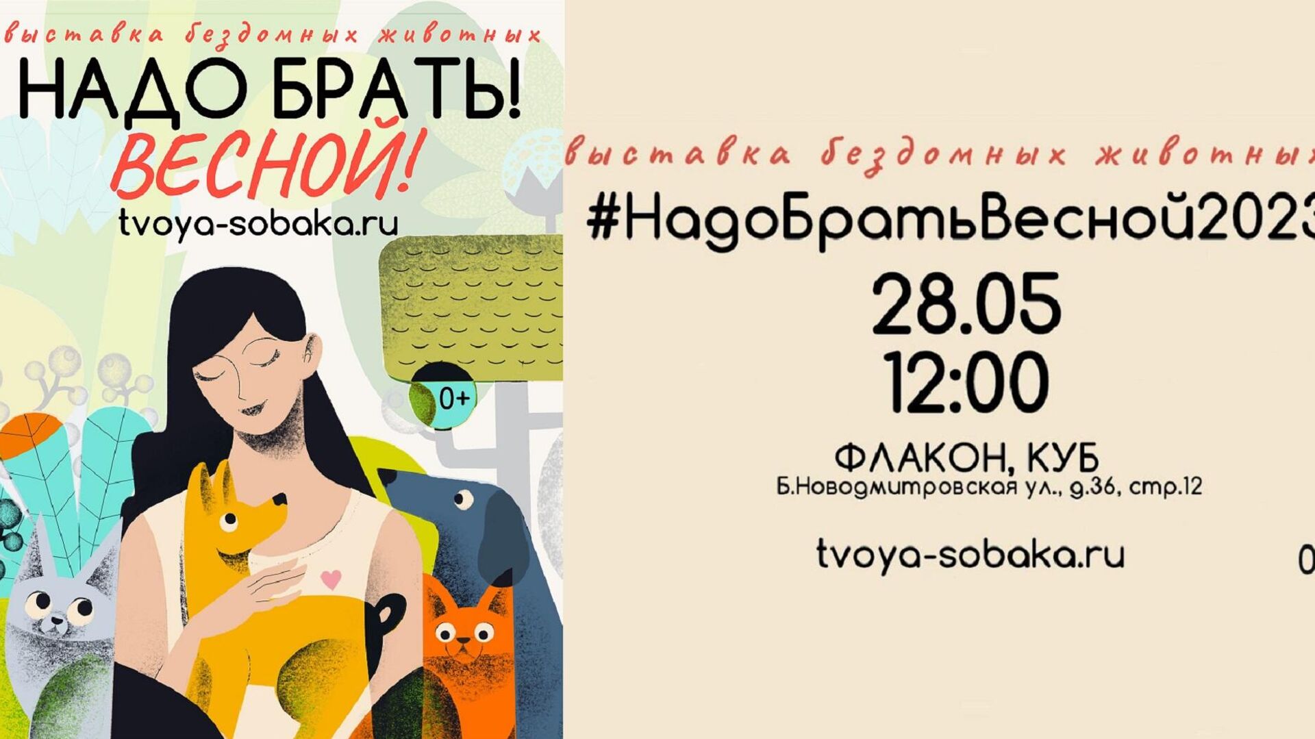 В Москве пройдет выставка бездомных животных #НадоБратьВесной2023 - РИА Новости, 1920, 19.05.2023