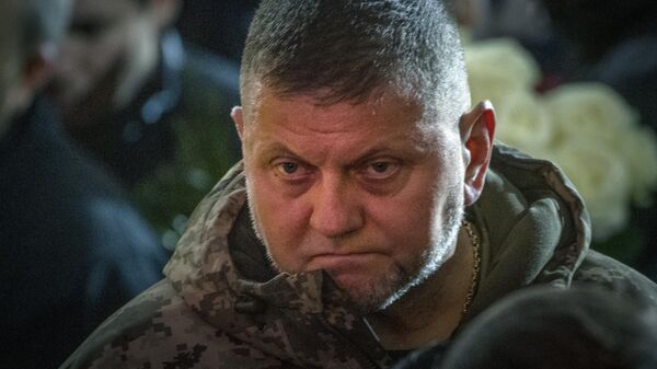 Главнокомандующий Вооруженными силами Украины Валерий Залужный. Архивное фото