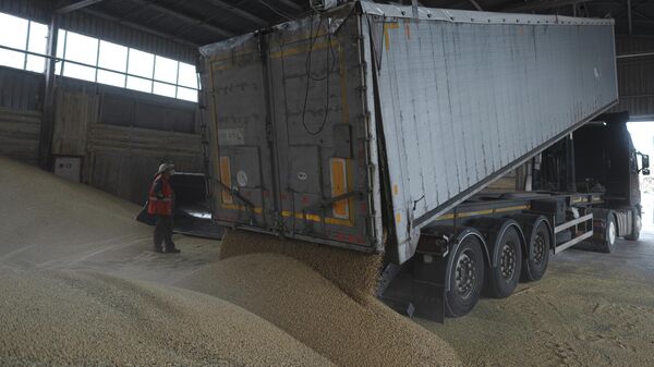 Грузовик разгружает зерно в порту Измаила, Украина